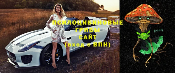 твердый Магадан